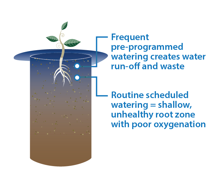 consequences of timer based watering diagram